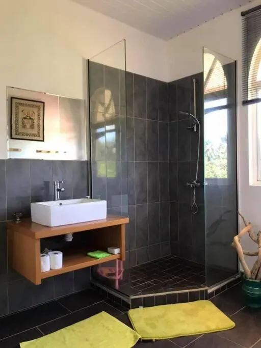 Bathroom with walk-in shower