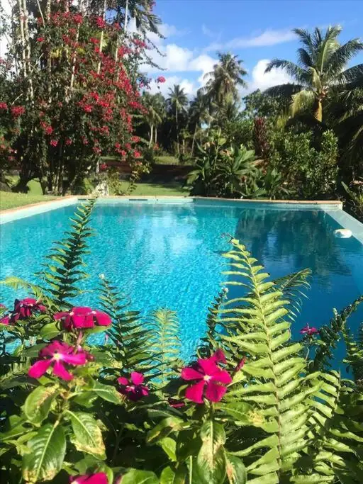 Infinity pool surrounded by tropical flowers at Te Mana Lodge
